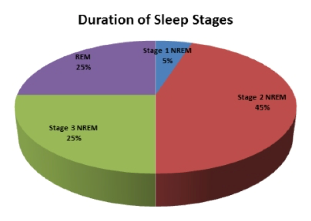 sleep stage