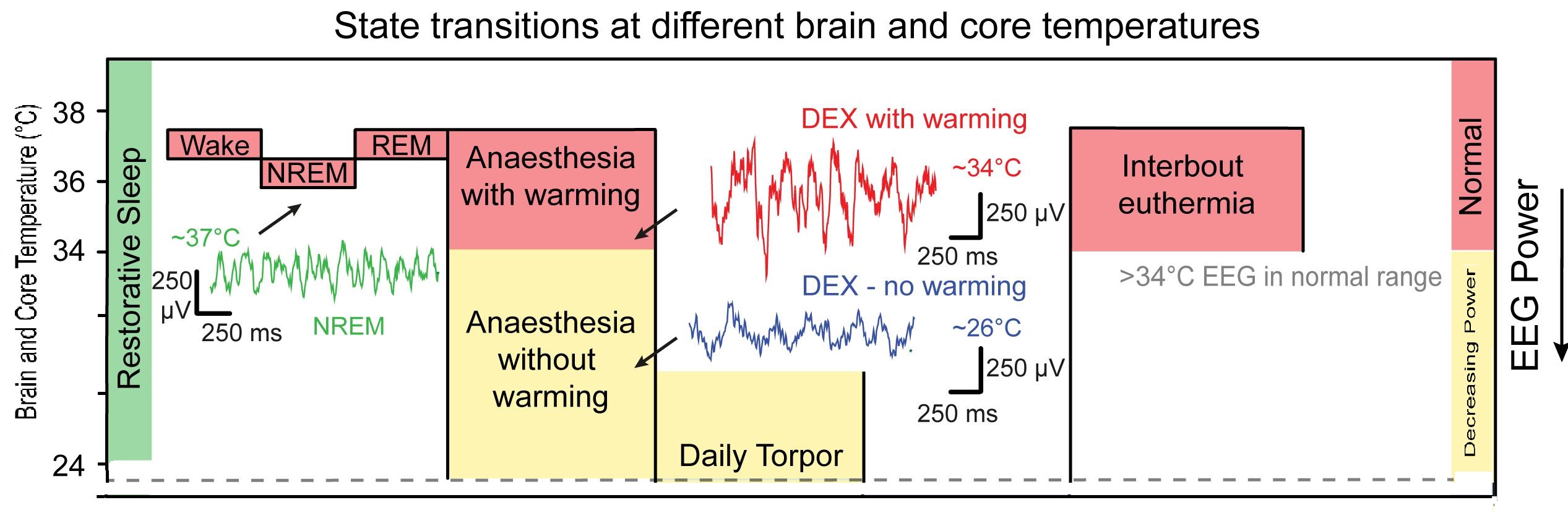 temperature (2)